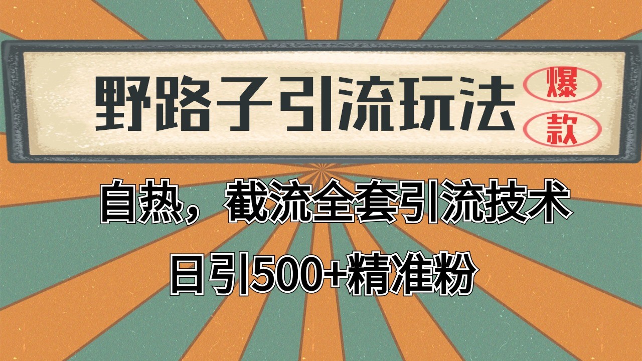 抖音小红书视频号全平台引流打法，全自动引流日引2000+精准客户-居居资源网