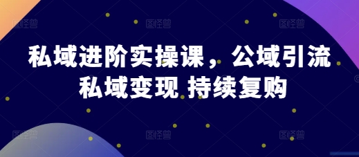 私域进阶实操课，公域引流 私域变现 持续复购-居居资源网