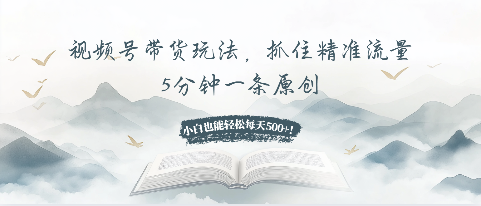 视频号带货玩法，抓住精准流量，5分钟一条原创，小白也能轻松每天500+！-居居资源网