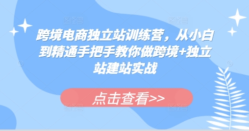 跨境电商独立站训练营，从小白到精通手把手教你做跨境+独立站建站实战-居居资源网