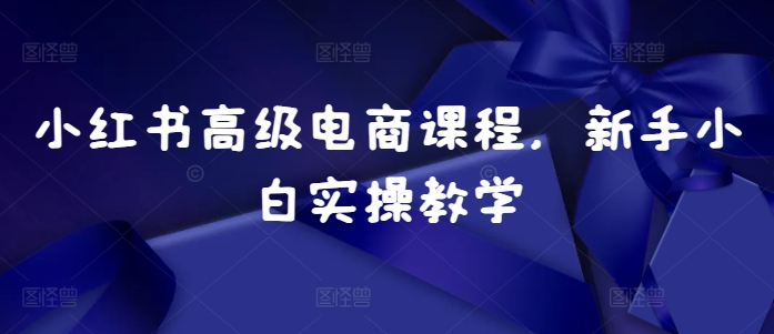 小红书高级电商课程，新手小白实操教学-居居资源网