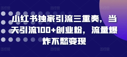 小红书独家引流三重奏，当天引流100+创业粉，流量爆炸不愁变现【揭秘】-居居资源网