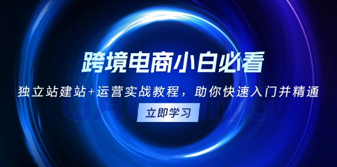 跨境电商小白必看！独立站建站+运营实战教程，助你快速入门并精通-居居资源网